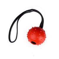 HKM-542227 Durable Rubber Dog Training Ball with Rope for Small to Medium Dogs