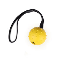 HKM-542227 Durable Rubber Dog Training Ball with Rope for Small to Medium Dogs