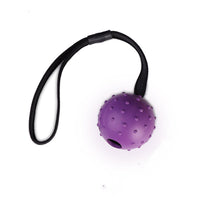 HKM-542227 Durable Rubber Dog Training Ball with Rope for Small to Medium Dogs