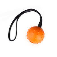 HKM-542227 Durable Rubber Dog Training Ball with Rope for Small to Medium Dogs