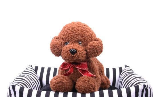 HKM-917139 Stylish Canvas Pet House with Anti-Biting Feature - Available in Small, Medium, and Large Sizes