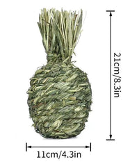 HKM-382995 Timothy Grass Pet Snack Toys for Rabbits and Guinea Pigs - Assorted Fruit Shapes