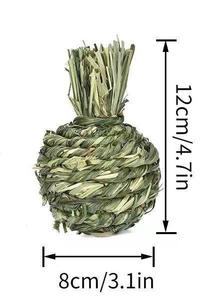 HKM-382995 Timothy Grass Pet Snack Toys for Rabbits and Guinea Pigs - Assorted Fruit Shapes