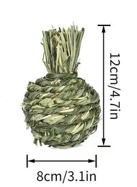 HKM-382995 Timothy Grass Pet Snack Toys for Rabbits and Guinea Pigs - Assorted Fruit Shapes