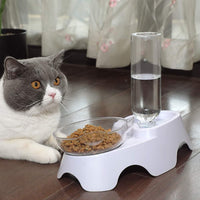 HKM-675923 Tilted Double Dog & Cat Bowls Set with Automatic Water Dispenser for Small to Medium Pets