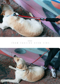HKM-444755 High Elastic Reflective Leash for All Dog Sizes (10-60kg) - Durable Imitation Nylon Material, Available in Black and Red
