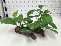 HKM-762515 Simulation Plant for Decorative Fish Tanks – Eco-Friendly Plastic Grass and Wood Design