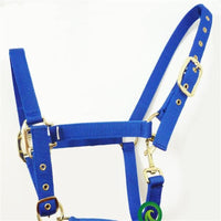 HKM-507987 Customizable Horse Bridle and Headgear for Equestrian Use, Nylon or PP Material, Available in Various Sizes