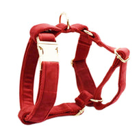 HKM-390739 Five-Piece Pet Collar and Leash Set with Bow, Vest, and Poop Bag for Dogs