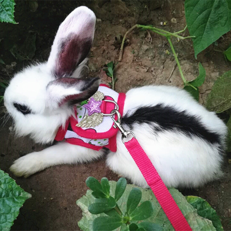 HKM-667539 Vest-Style Chest Strap for Small Pets - Ideal for Rabbits and Guinea Pigs