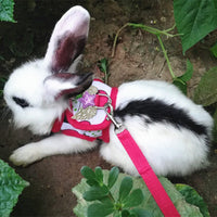 HKM-667539 Vest-Style Chest Strap for Small Pets - Ideal for Rabbits and Guinea Pigs