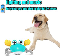 HKM-778515 Interactive Crawling Crab Dog Toy with Music, Lights, and Obstacle Avoidance Sensor for Small to Medium Pets