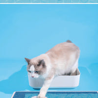 HKM-175827 Floating Cat Pool Mat with Wire Mesh Filter and Non-Slip Surface