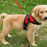 HKM-698003 Mesh Dog Saddle Chest Harness for Small to Large Dogs - Breathable and Durable, Multiple Color Options Available