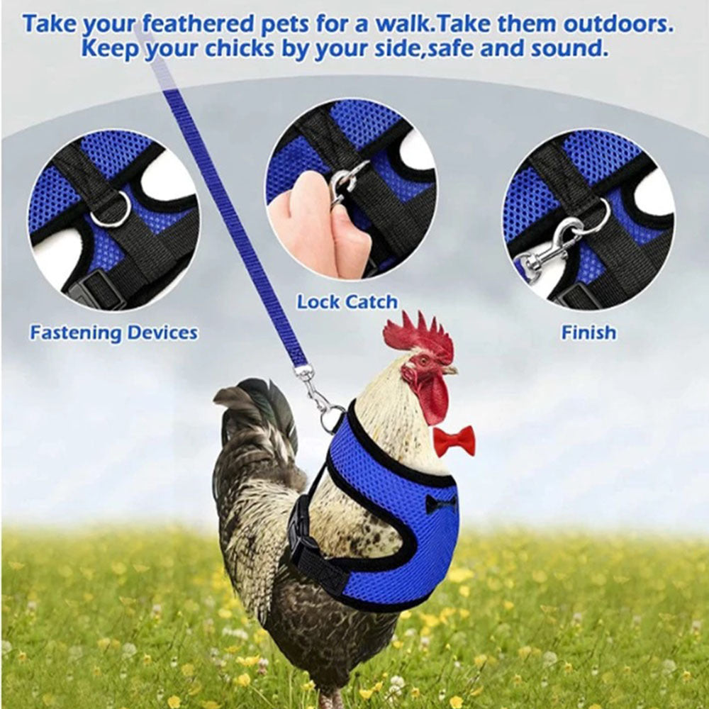 HKM-661267 Pet Harness and Vest Set for Ducks and Hens with Matching Collars, Adjustable Sizes and Traction Rope