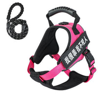 HKM-958995 Adjustable Pet Harness with Matching Leash - Multiple Colors Available