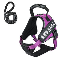 HKM-958995 Adjustable Pet Harness with Matching Leash - Multiple Colors Available
