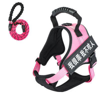 HKM-958995 Adjustable Pet Harness with Matching Leash - Multiple Colors Available