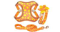 HKM-392595 Dog Traction Rope Vest Collar with Chest Strap and Decorative Flowers, Sizes S/M/L