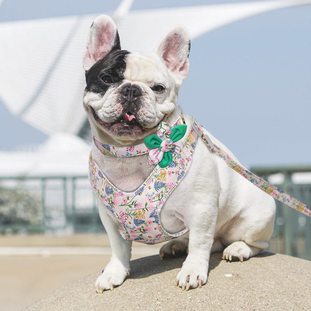 HKM-392595 Dog Traction Rope Vest Collar with Chest Strap and Decorative Flowers, Sizes S/M/L