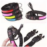 HKM-219667 Rechargeable Luminous Dog Collar in Multiple Colors for All Breeds