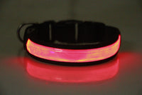 HKM-219667 Rechargeable Luminous Dog Collar in Multiple Colors for All Breeds