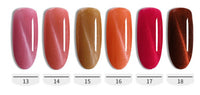 HKM-958611 Cat's Eye Nail Polish Glue Set for Phototherapy - 10ml, 48 Color Options
