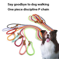 HKM-493331 Durable Nylon Dog Collar and Lead Set with Adjustable Chest Strap - Comfortable Design for All Breeds