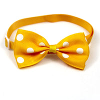 HKM-993427 Colorful Dot Bow Pet Accessory - Adjustable Webbing (20-36CM)