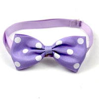 HKM-993427 Colorful Dot Bow Pet Accessory - Adjustable Webbing (20-36CM)