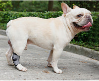 HKM-477395 Dog Recovery Leg Cover - Neoprene Wound Protector for Active Dogs, Sizes S to XL