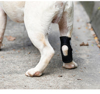HKM-477395 Dog Recovery Leg Cover - Neoprene Wound Protector for Active Dogs, Sizes S to XL