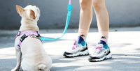 HKM-617811 Couple Style Shaped Chest Strap for Pets - Adjustable Vest Rope in Multiple Colors