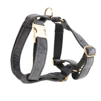 HKM-779347 Soft Velvet Fabric Dog Collar with Matching Accessories - Adjustable Sizes XS to XL