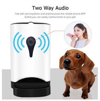 HKM-967187 Smart Automatic Pet Feeder for Cats and Dogs with HD Video and Two-Way Voice
