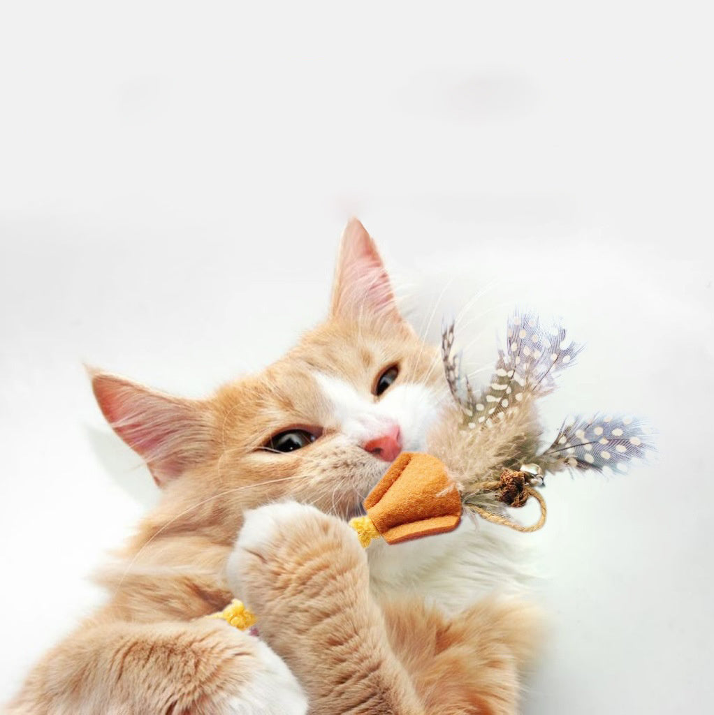 HKM-430419 Natural Polygonum Wood Molar Stick for Cats - Interactive Feather Toy