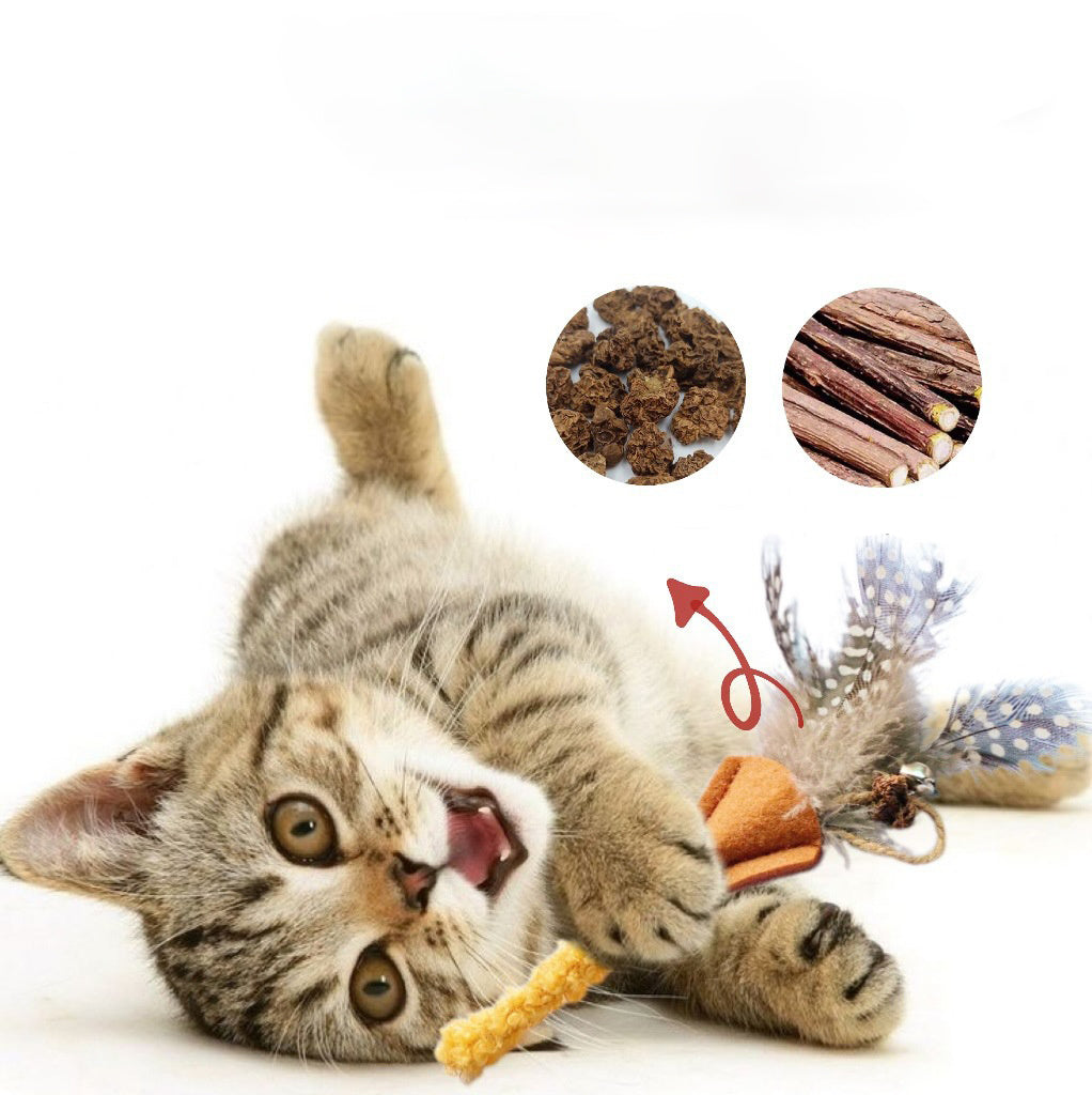 HKM-430419 Natural Polygonum Wood Molar Stick for Cats - Interactive Feather Toy