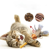 HKM-430419 Natural Polygonum Wood Molar Stick for Cats - Interactive Feather Toy