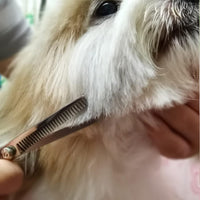HKM-296915 Professional Dog Grooming Scissors Set with Safety Round Tips, Stainless Steel Thinning and Curved Scissors, Pet Comb Included
