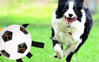 HKM-462035 Interactive Rope Football for Dogs - Durable TPU and Cotton Yarn, Suitable for Small to Large Breeds