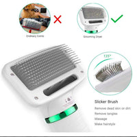 HKM-377107 Electric Pet Hair Dryer Comb - Two-Speed Heating Fan for Dogs and Cats, 300W Power, 2m Cord Length