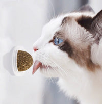 HKM-492499 Mint Catnip Ball Toy - Fun Playing Balls for Cats (3.3cm & 4cm Sizes Available)