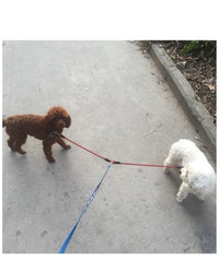 HKM-544211 Double-Ended Traction Rope for Small Dogs - Cotton and Nylon Construction, 110 cm Length, Red Purple Color
