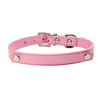 HKM-175379 Personalized Snake and Crocodile Pattern Dog Collar with Adjustable Sizes