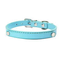 HKM-175379 Personalized Snake and Crocodile Pattern Dog Collar with Adjustable Sizes