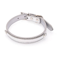 HKM-175379 Personalized Snake and Crocodile Pattern Dog Collar with Adjustable Sizes
