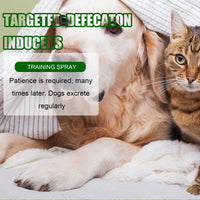 HKM-367059 Pet Toilet Training Inducer with Natural Oils for Effective Defecation Guidance