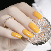 HKM-925843 Frosted Sealing Layer Color Nail Polish Glue - 15ML Small Bottles in Various Shades