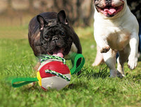HKM-475539 Interactive Dog Football Soccer Ball - Multifunctional Training and Teething Toy, Durable Outdoor Play for Pets