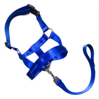 HKM-227731 Nylon Dog Cover with Adjustable Leash - Available in Black, Red, and Blue